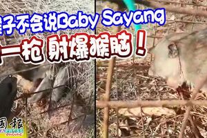 猴子不會說BabySayang他一槍射爆猴腦！