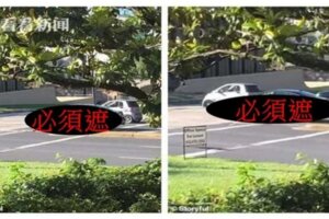 懶到不要命！不想散步遛狗..他竟然「以X代腿」！網熱議：方法是懶人想出來的！