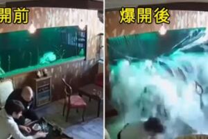 咖啡店魚缸爆開「直接變瀑布」把客人沖走　「玻璃上裂痕爬出」的畫面就是意外徵兆！