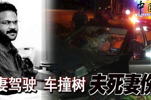 妻駕駛車撞樹夫死妻傷