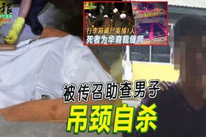 ◤行李箱藏男屍案◢被傳召助查男子吊頸自殺