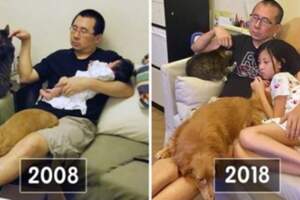 10年前與10年後！爸抱「貓狗兒女」每年合照　微妙對比網友看到眼酸酸