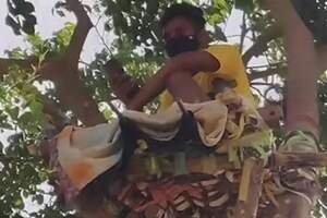 印度男學生確診憂傳染家人！自主「樹上隔離11天」