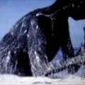 「南極洲」拍攝到30米高的巨型人類！未解之謎終於曝光了！