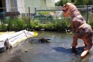 找死啊！男子扮成霸王龍調戲兇猛鱷魚 下一秒…場面太驚險 以為要沒命惹(圖+影)