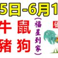 12生肖周運勢！雞、牛、鼠、猴、豬、狗！福星到家！（6月5日—6月11日）