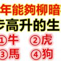 下半年能夠柳暗花明步步高升的四大生肖！