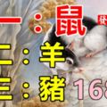 你家有屬鼠羊豬嗎？7月有一財！偏財運大旺、好運常伴！