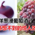 洋蔥浸葡萄酒？你意想不到的驚人效果