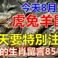 今天8月5日，虎兔羊鼠龍，六合吉星照，今天要特別注意！上榜的生肖留言85178！