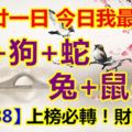 十月廿一日，今日我最旺！猴+狗+蛇+兔+鼠+虎！88688上榜必轉！財運連連！