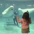 小女孩趴在窗前看著白鯨，下一秒白鯨從嘴巴吐出...真的太美了！