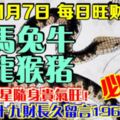 今天11月7日,每日旺財提示：蛇馬兔牛，羊龍猴豬。財星隨身貴氣旺！農曆十九財長久留言19688必轉！