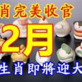 12生肖完美收官12月！你的生肖在年尾會有怎樣的好運呢？