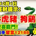 今天12月1日,每日旺財提示：蛇牛虎豬，狗雞龍羊。雙喜臨門！橫財到手留言12188必轉！