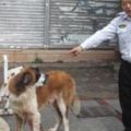 保全巡邏時好心餵養路過的流浪狗剩飯，為報恩流浪狗陪伴了他10年