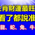 12生肖財運最旺時刻，看了都說准！（鼠、龍、蛇、兔、牛、虎）