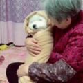 奶奶把狗狗當孫子，冬天怕小狗冷壞，用毯子抱懷裡哄