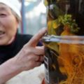 滋補酒配方——宜收藏夜尿頻多等症都有益處，可每日服3次，每次9克。