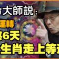 算命大師說：時來運轉！再熬6天，4大生肖走上等運