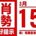 生肖運勢，天天好提示（3月15日）