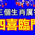 這三個生肖厲害了，接住了「四喜臨門」