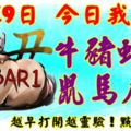 4月19日，今日我最旺！牛豬蛇狗鼠馬虎猴！【88888】越早打開越靈驗！點個贊吧！