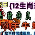 【12生肖運勢】4月28日星期六【23888】趁早打開越靈驗，點個贊吧！