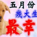 五月份開始，這幾大生肖最幸運~