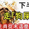 下半年走「狗屎運」，5大生肖從未這麼順利！