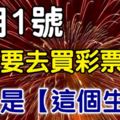 8月1號，這些生肖一定要快去買彩券啊！尤其是『這個生肖』財運當頭，勢不可擋！