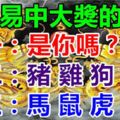 8月最容易中大獎的生肖，據說轉走的人中獎中不停！(靈驗！）