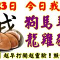 8月23日，今日我最旺！狗馬羊蛇龍雞豬兔！【90888】越早打開越靈驗！點個讚吧！