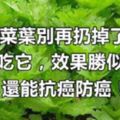 芹菜葉可別再扔掉了！這樣吃它，效果勝似阿膠，並且還能抗癌防癌！