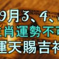 9月3、4、5號，5大生肖人財運勢不可擋，福運天賜吉祥！