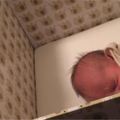 寶寶一出生就睡在紙箱裡　芬蘭發放「百寶箱」讓父母都直呼賺到了