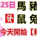 10月25日生肖運勢_馬、豬、狗大吉