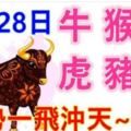 11月28日生肖運勢_牛、猴、龍大吉