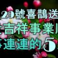 11月29號開始，喜鵲送喜，富貴吉祥，事業順利，好事連連的5大生肖！