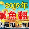 2019年鹹魚翻身的5個屬相，貧民也能變地主