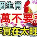 這七個生肖千萬不要惹，2019年他們實在太旺了