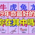 2019年命最好的生肖，與太歲相合，看看你在其中嗎？