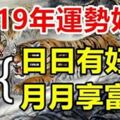 2019年運勢好轉的四大生肖，日日有好事，月月享富貴