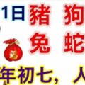 2月11日生肖運勢_豬、狗、羊大吉