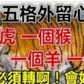 3月5日：一個虎，一個猴，一個羊，一個龍。