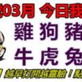 19號03月，今日我最旺！雞狗豬是牛虎兔龍！【99688】越早打開越靈驗！點個讚吧！