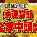 3月20號開始，鴻運當頭有望中頭獎的生肖