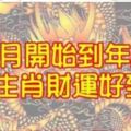 偷偷告訴你：本月開始到年底，財運好到爆的5個生肖