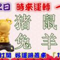 5月2日時來運轉一路發，豬鼠猴兔羊馬，88秒內打開，好運跟著來『16888』