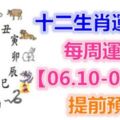 十二生肖運勢：每周運勢【06.10-06.16】提前預知！